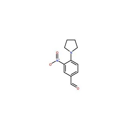 Ak Scientific 3-Nitro-4-(1-pyrrolidinyl)benzenecarbaldehyde (1g), CAS 284679-97-6 9135AD-1g