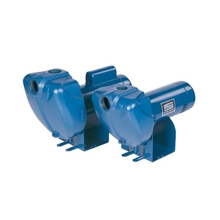 Pentair Sta-Rite Self-Priming Centrifugal Pump DS3HHG-01