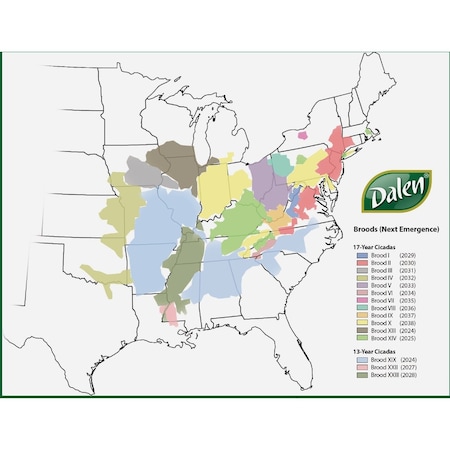 Dalen Cicada-X 3/8'' Mesh 14 Ft. x 14 Ft. Protective Netting INC-14