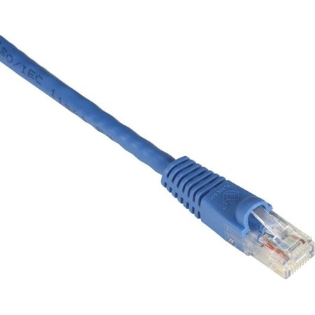 Black Box CAT6 550-MHz Molded Snagless Stranded Ethernet Patch Cable - Unshielded UTP, CM PVC RJ45 EVNSL671-0020
