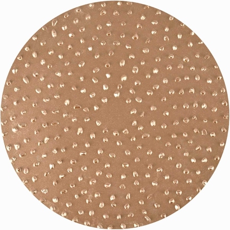 Tapetech 16 Grit Tungsten Carbide Sanding Disc (2) EDISCTC16
