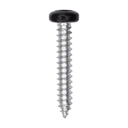 8 x 1in Black Painted Square Drive Pan Head Tapping Screw, 100PK