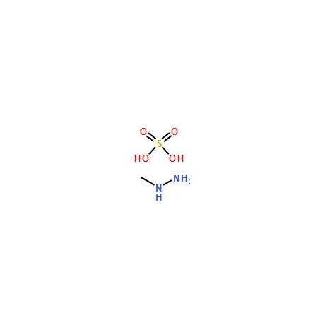 Ak Scientific Methylhydrazine sulfate (1g), CAS 302-15-8 O802-1g