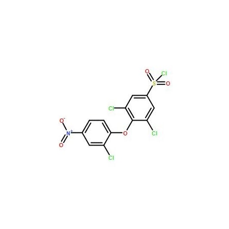 Ak Scientific 3, 5-Dichloro-4-(2-chloro-4-nitrophenoxy)benzene-1-sulfonyl chloride (1g), CAS 175135-06-5 Y7844-1g
