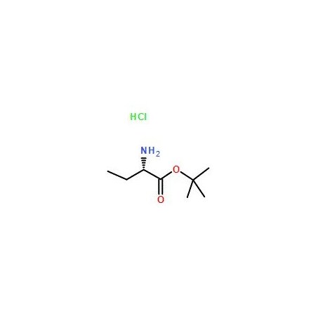 Ak Scientific L-Abu-OtBu·HCl (5g), CAS 53956-05-1 V6499-5g