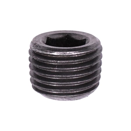 Auveco 1/4-19 British Pipe Plug, 25PK 24272