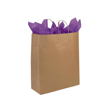Store Supply Warehouse Jumbo (Queen) - Kraft Paper Shopping Bags, 200PK 92109
