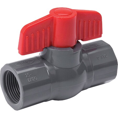 Proline Series ProLine 1'' FIP x 1'' FIP PVC Ball Valve 107-105