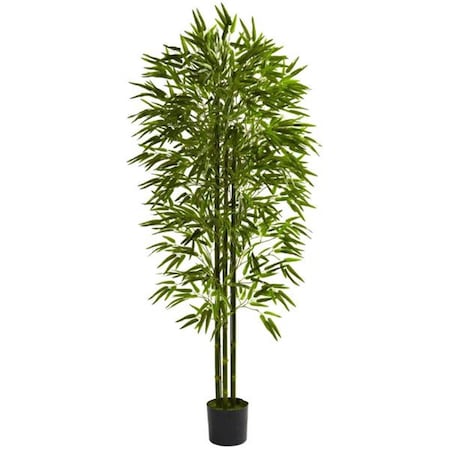 Dare2Decor 6 ft. Bamboo Tree UV Resistant - Indoor-Outdoor DA403720