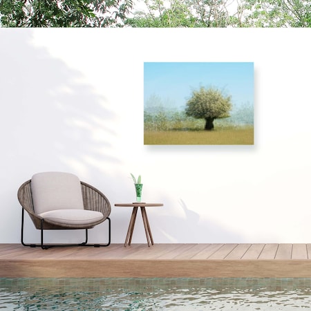 Trademark Fine Art Outdoor Canvas Art Katarina Holmstrom 'Tree With Flowers' Wall Art for Patios, or Gardens 1X10861-OC1419WR
