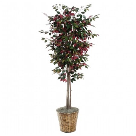 Dare2Decor 6 ft. Capensia Deluxe DA701956