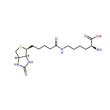 Ak Scientific H-Lys(Biotinyl)-OH (5g), CAS 576-19-2 Z5921-5g