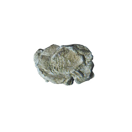Thinkandplay Wind Rock Mold TH2104128