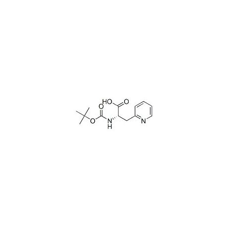 Ak Scientific Boc-L-3-(2-pyridyl)-alanine (1g), CAS 71239-85-5 M095-1g