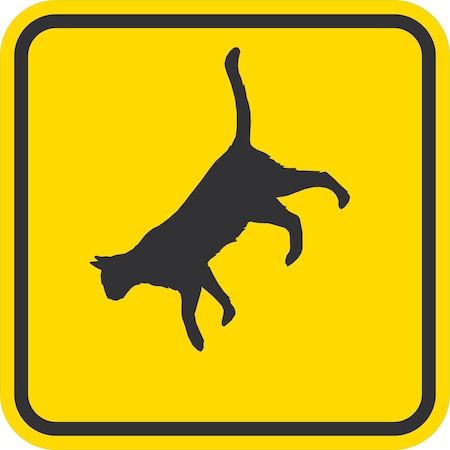 Lyle Cat Crossing, 12x12, Engineer Grade, Yellow G-2030-EG_12x12