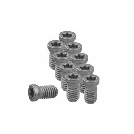 Garant Set of Insert Screws, 10 Pieces, Type: 1 219878 1