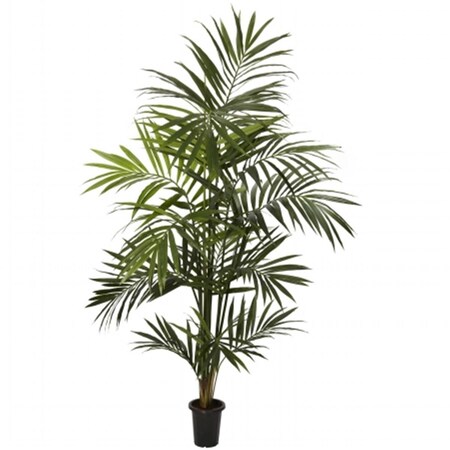 Dare2Decor 7 in. Kentia Palm Silk Tree DA416997