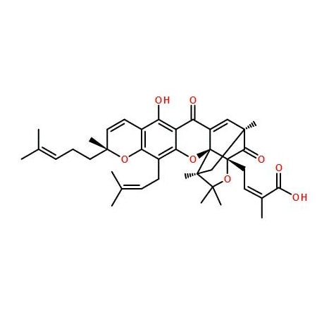 Ak Scientific Gambogic acid (100mg), CAS 2752-65-0 X1145-100mg
