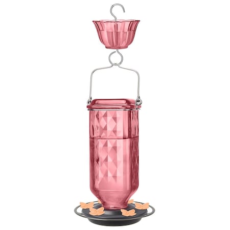 Natures Way Hummingbird 23 oz Glass/Metal/Plastic Bird Feeder with Ant Moat 6 ports ANTGHF8-AM