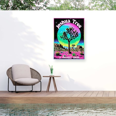 Trademark Fine Art Outdoor Canvas Art Jess Stempel Joshua Tree Nights Wall Art for Patios, or Gardens GRL01771-OC1824WR