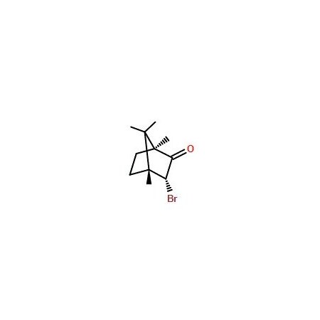 Ak Scientific [(1S)-endo]-(-)-3-Bromocamphor (1g), CAS 64474-54-0 R288-1g