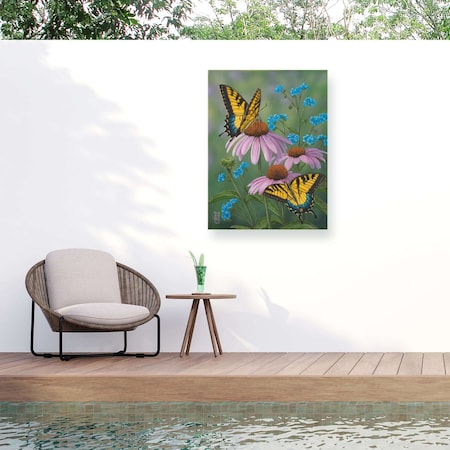 Trademark Fine Art Outdoor Canvas Art Jeff Hoff 'Summer Tiger Forget Me Nots' Wall Art for Patios, or Gardens GRL01712-OC3547WR