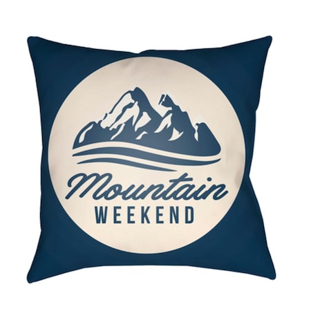 Artistic Weavers Lodge Cabin Alp Poly Filled Pillow - Navy & Beige - 20 x 20 in. LGCB2047-2020