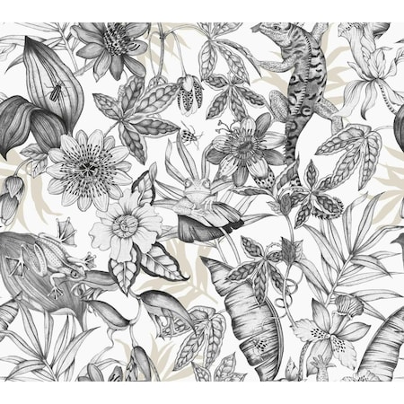 York Wallcoverings Rainforest White and Charcoal Wallpaper BL1703