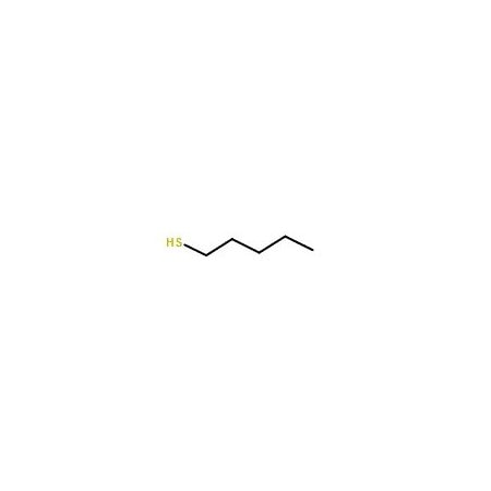 Ak Scientific 1-Pentanethiol (25mL), CAS 110-66-7 7731AJ-25mL