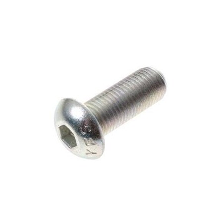 Jlg REPLACEMENT CAPSCREW, SOCKET HEAD 88261128