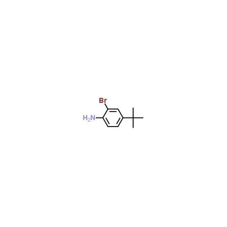 Ak Scientific 2-Bromo-4-tert-butylaniline (100g), CAS 103273-01-4 B845-100g