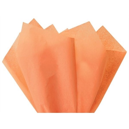Nashville Wraps Peach Color Tissue Paper, 20x30, 24 Soft Fold Sheets, 24PK CTQPE