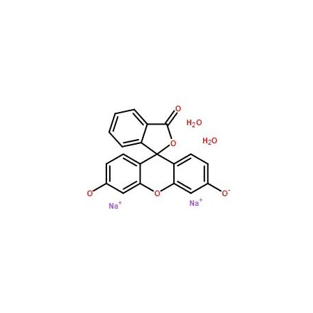 Ak Scientific Fluorescein disodium salt dihydrate (5g), CAS 518-47-8 6535AF-5g