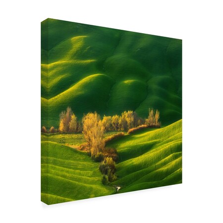 Trademark Fine Art Outdoor Canvas Art Krzysztof Browko 'Spring On Fields...' Wall Art for Patios, or Gardens 1X11669-OC1414WR
