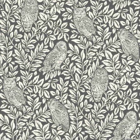 Chesapeake Parliament Brown Owl Wallpaper 3115-12415
