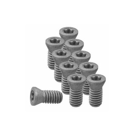Garant Set of Insert Screws, 10 Pieces 219830