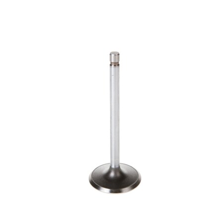 Melling Engine Intake Valve, V1931