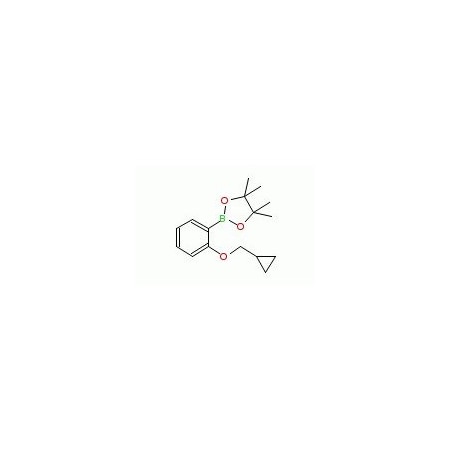 Ak Scientific 2-Cyclopropylmethoxyphenylboronic acid pinacol ester (250mg), CAS 1185836-98-9 0572AD-250mg