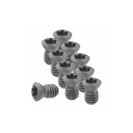 Garant Set of Insert Screws, 10 Pieces 219804