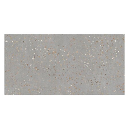 Apollo Tile 24x48 in. Polished Warm Gray with Gold Flecks Porcelain Wall and Floor Tile 15.49 sq ft/case, 2PK TER88CE2448POL