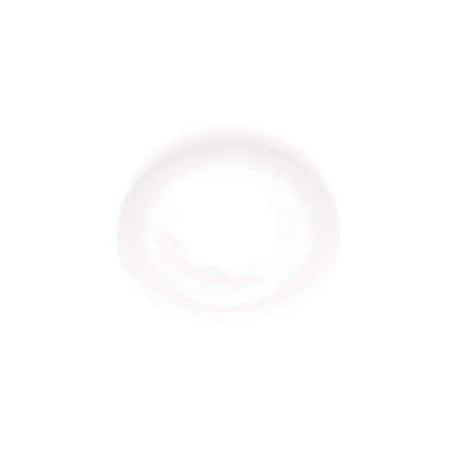 Toro CLUTCH WASHER 65-4760