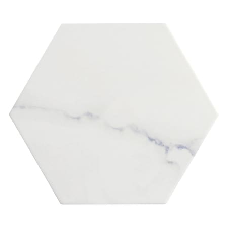 Andova Tiles Porlan 8-in. x 9-in. Hexagon Marble Look Matte Porcelain Wall & Floor Tile (9.9 Square Feet Per Box) ANDPOR1259