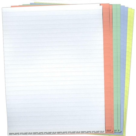 Magna Visual Data Cards, PK10 DC-10M