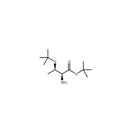 Ak Scientific O-tert-Butyl-L-threonine-tert-butyl ester (5g), CAS 5854-78-4 X4321-5g