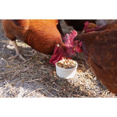 Wonder Garden Grub 6 Lb. Feed Supplement PH570