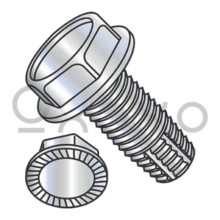 Oxoxo 8-32X3/8 Unslot Ind Hex Washer Serrated Thread Cutting Scr Type F Full Thrd Zinc & Bake, 10000PK 505981