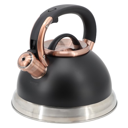 Mr. Coffee Flintshire 2.2 Quart Stainless Steel Whistling Tea Kettle in Black 143792.01