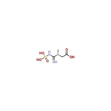 Ak Scientific Creatine phosphate (5g), CAS 67-07-2 F341-5g