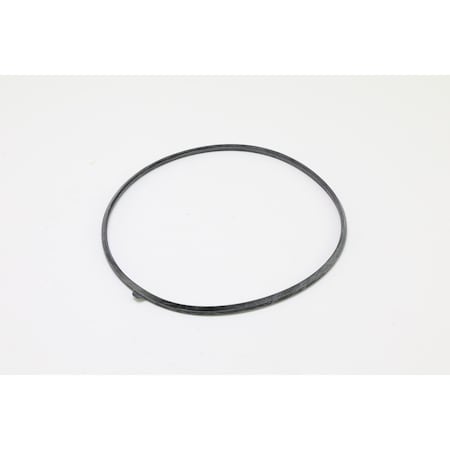 Raypak DOOR GASKET SEAL 013162F