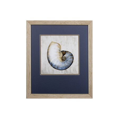 Homeroots Set of Two Ocean Seashells Wall Art, 2PK 401448